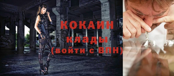 ПСИЛОЦИБИНОВЫЕ ГРИБЫ Вязьма