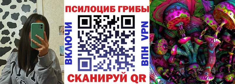 Псилоцибиновые грибы Psilocybe  наркота  Перевоз 